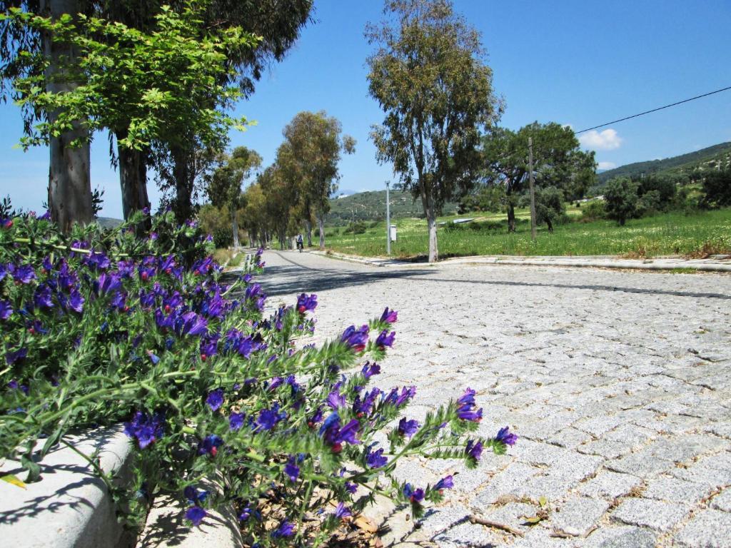 Zeybek 1 Pension Patara Exterior photo